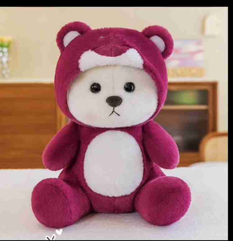Plush teddy hoodie 2025