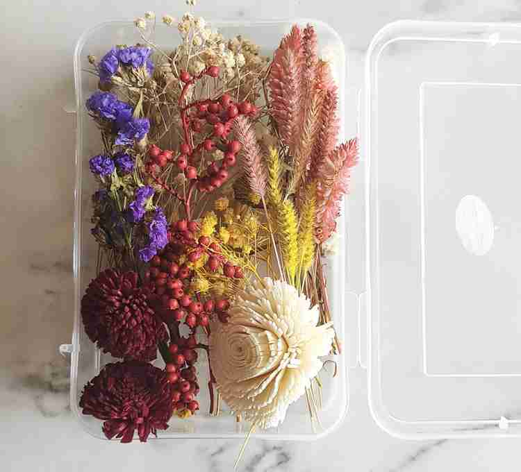 On The Soil Assorted Dry Flower Box Flowers for Craft Dried