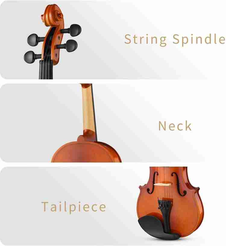 Violin in flipkart outlet