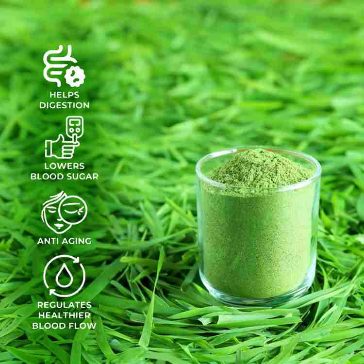 Wheat grass powder for weight loss discount