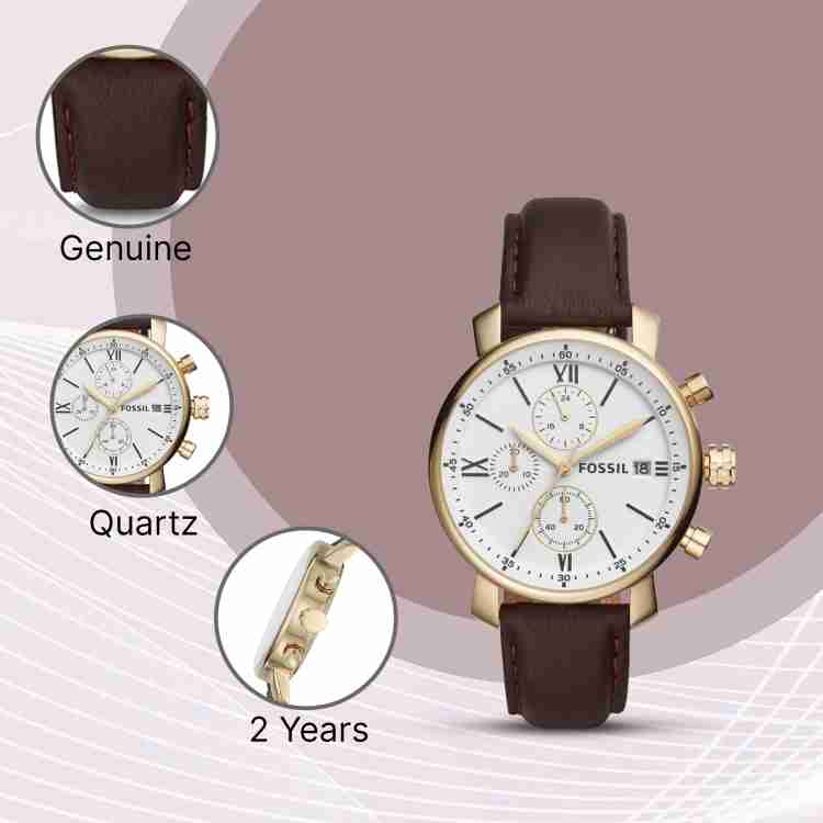 Bq1009 fossil new arrivals