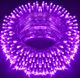 house of common 40 LEDs 11 m Red Color Changing Bulb Rice Lights (Pack of 1) - Image 7