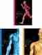 BD Chaurasia's Human Anatomy 11th Edition 4 Volume Set - Image 7