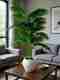 Anbia 12 Leaves Artificial Palm Plant with White Pot Bonsai Artificial Plant with Pot (60 cm, Green) - Image 2