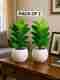FB Group Premium Artificial Ficus Plant - Image 7