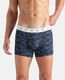 U.S. POLO ASSN. Men Trunk - Image 8