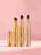 KASHTHBHANJAN 2 in 1 Face Scrubber Brush (Pack of 1) - Image 7