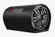 Powerlink 8" Champion Series Subwoofer 250W - Image 8