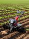 DVI 52CC Tiller with 2 Stroke High Power Petrol Engine With Cultivator Attachment. Fuel Grass Trimmer (Automated Feed) - Image 8