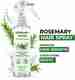 Alps Goodness Rosemary Water Hair Growth Spray 200ml - Image 7