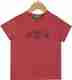 Pepe Jeans Boys Printed Cotton T-Shirt - Image 5