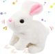 Fortay Cute Panda USB Rechargeable Light - Image 8