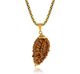 Admier 7 Mukhi Rudraksha Pendant Gold-Plated Brass - Image 8