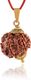 Admier 7 Mukhi Rudraksha Pendant Gold-Plated Brass - Image 7