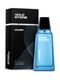 Wild Stone Edge I Eau de Parfum 100 ml - Image 8