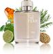 French Factor Royal Oud Eau de Parfum 100ml - Image 7
