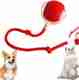 decorvaiz Smart LED Rotating Cat Toy Ball - Image 7