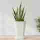PlantiQue 14 inch Tower Pot - Image 7