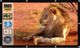 Royality 200 inch 16:9 HD Projector Screen - Image 8