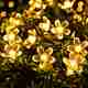 NEXIFY 100 LED 20m Gold String Rice Lights - Image 2