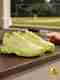 PUMA Legacy Spike Cricket Shoes White Size 9 - Image 2