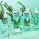 The Plant Fix Plix Rosemary Anti Hairfall Combo with 3% Redensyl Serum, Shampoo & Conditioner (3 Items in the set) - Image 7