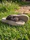 PROFOAM Men Sandal (Olive, Beige , 10) - Image 4