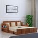 Ganpati Arts Scott Sheesham Wood 2 Seater Sofa Bed - Image 7