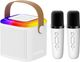 YGM Acoustic Foams Portable Kids Karaoke Speaker - Image 8
