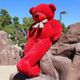 MOSU 7 Feet Teddy Bear for Kids - Image 7