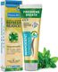 bentodent Charcoal Natural Teeth Whitening Toothpaste - Image 8