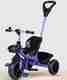 Stepupp Grow Baby Tricycle with Basket and Parent Handle (Black) - Image 2