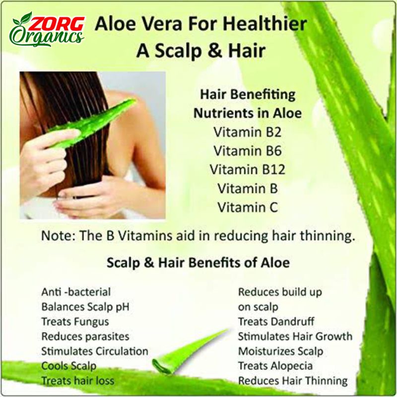 Zorg Organics Pure Natural Raw Aloe Vera Gel 1kg - Image 5