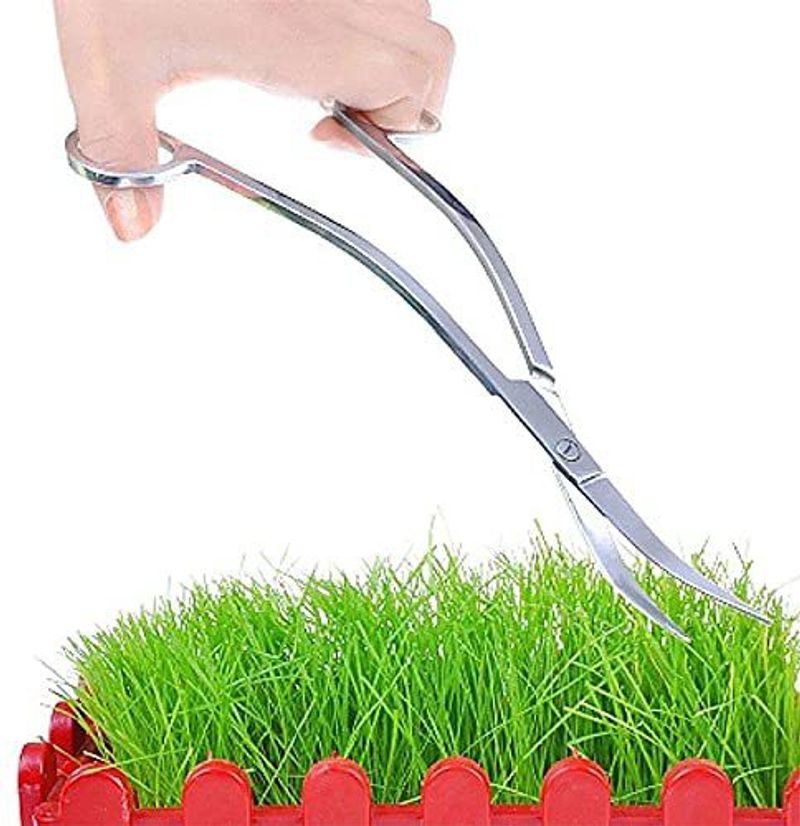VAYINATO Stainless Steel Curved Wave Scissors - Image 6