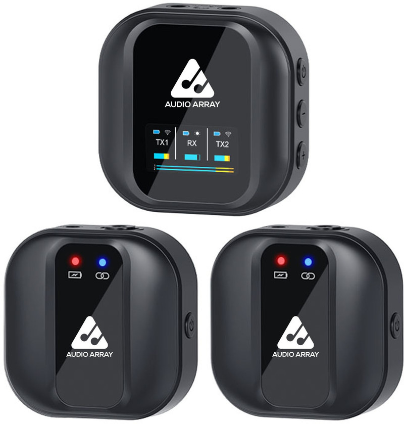 Audio Array Dual Wireless Mic, Upto 10hr Battery &amp; 100m Range Microphone