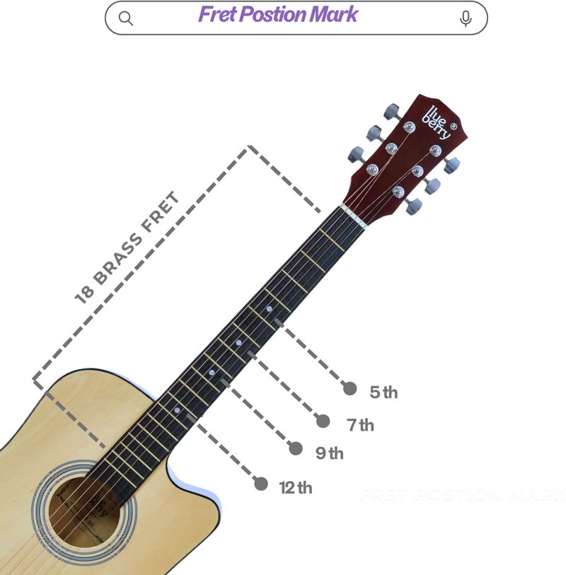 BLUEBERRY 38C Classic Brown, 38 Inch Acoustic Guitar Linden Wood Plastic Right Hand Orientation (Brown) - Image 5