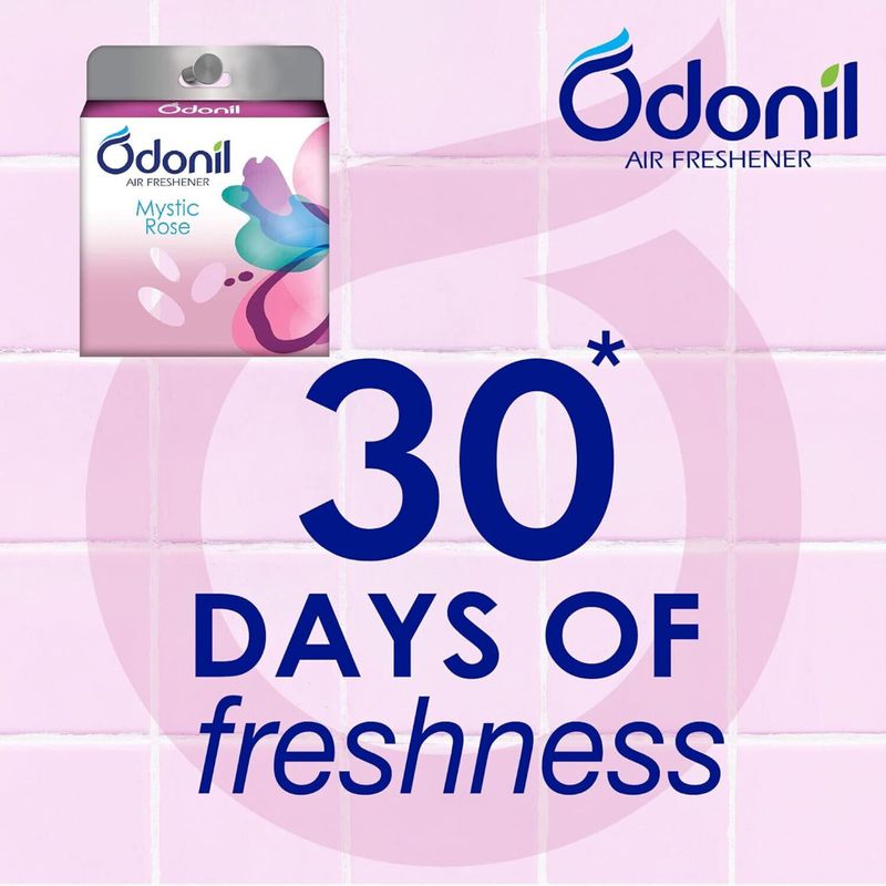Odonil Mixed Fragrances Blocks - Image 6
