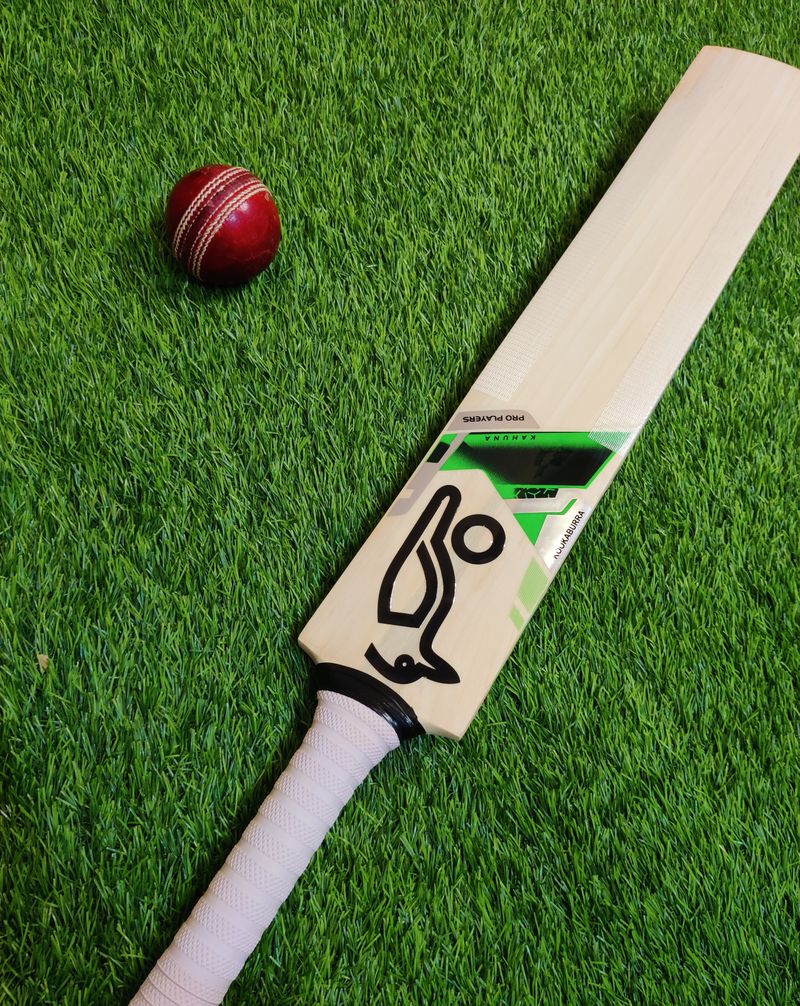 Raider Handmade English Willow Cricket Bat - Image 4