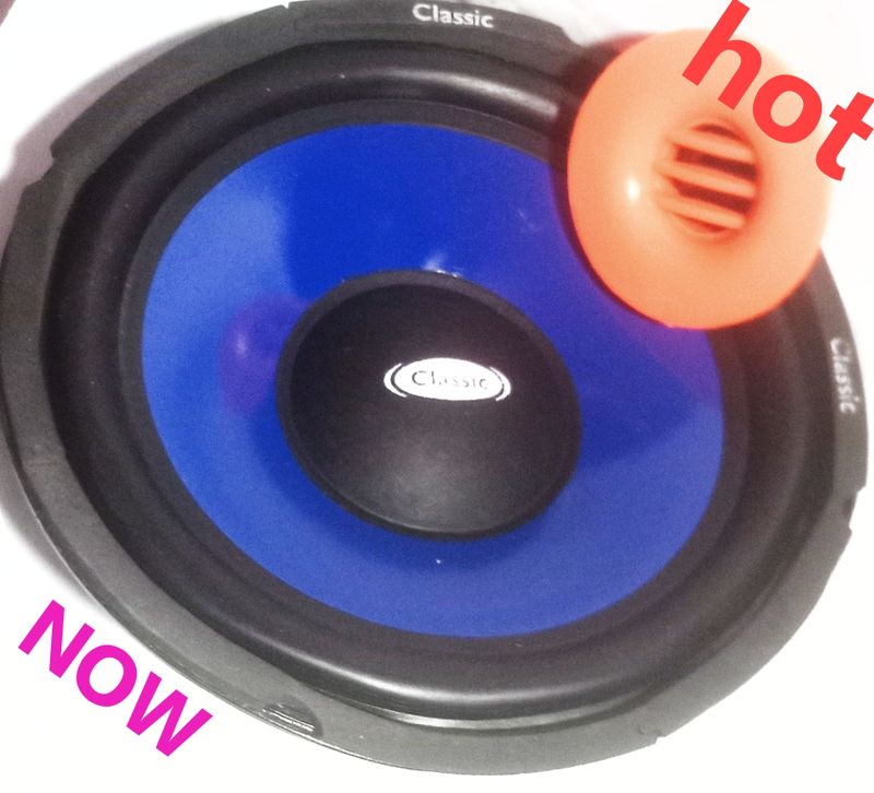 Classic CESR 8 Subwoofer 120 - Image 4