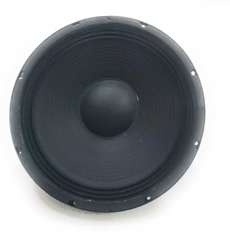 Biggtone 12 Inch DJ Woofer High Power Bass Speaker - Image 3