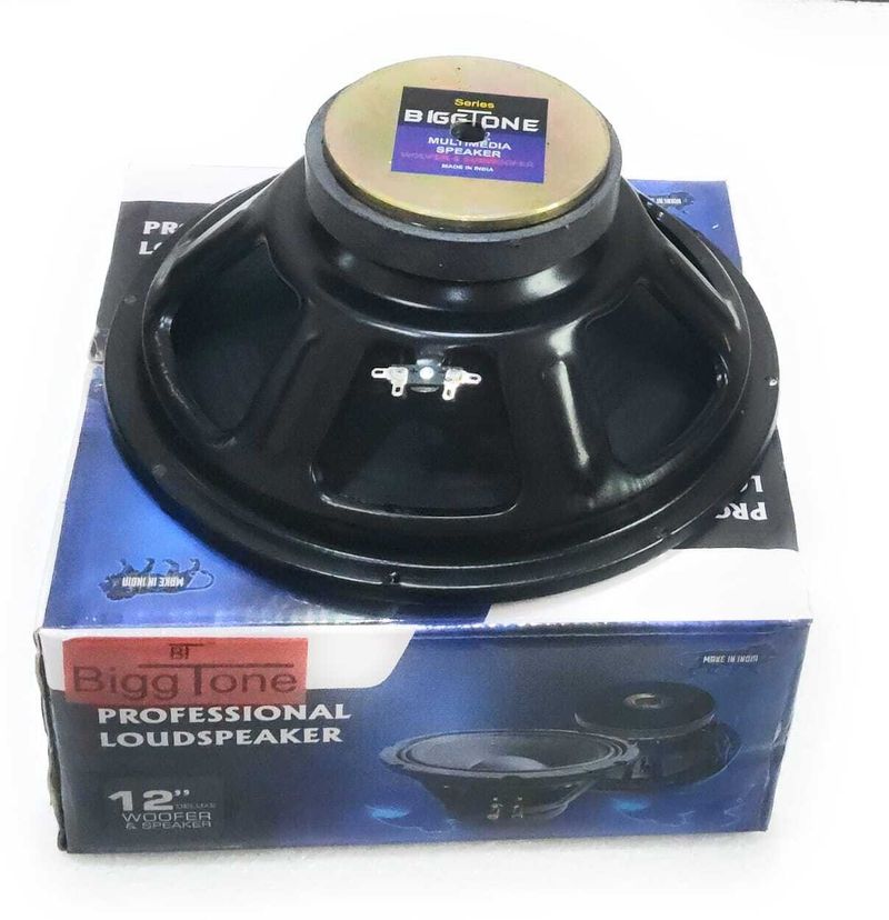 Biggtone 12 Inch DJ Woofer High Power Bass Speaker - Image 5