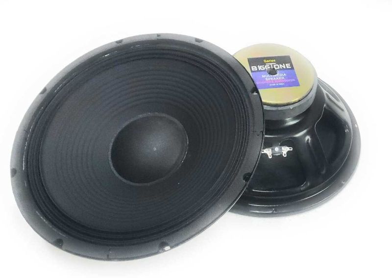 Biggtone 12 Inch DJ Woofer High Power Bass Speaker - Image 2
