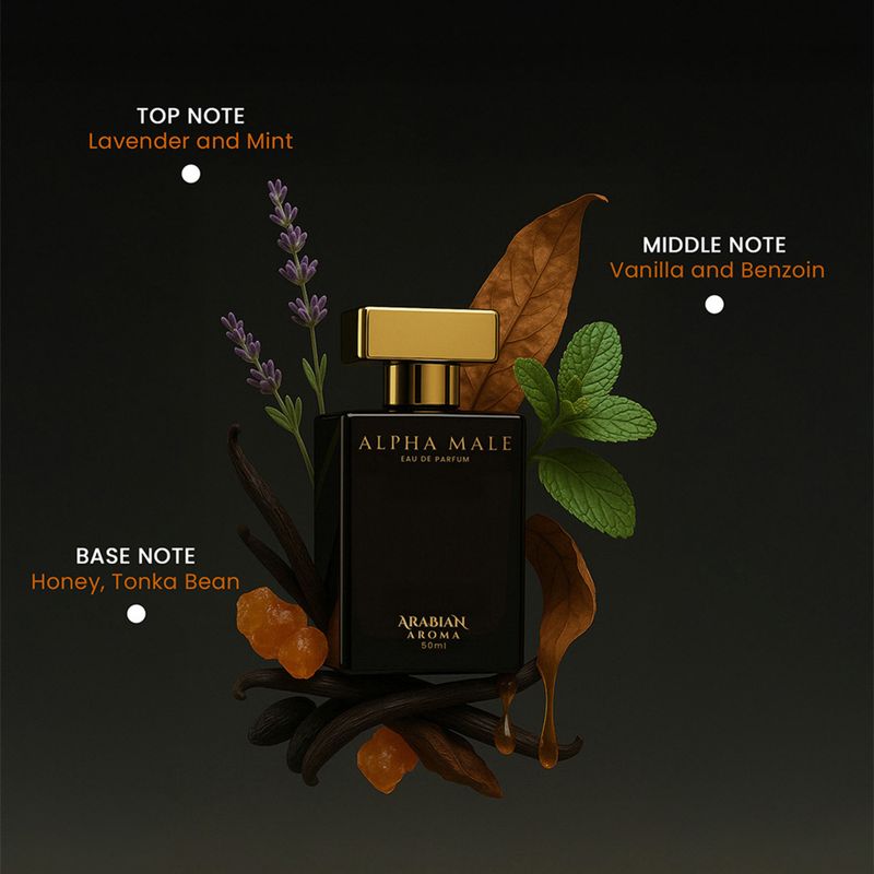 Arabian Aroma Alpha Male Eau de Parfum 50ml - Image 4
