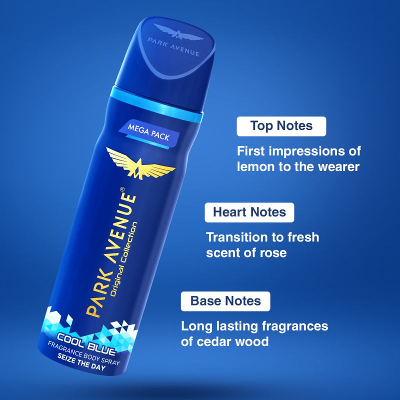 Park Avenue Cool Blue Combo Deodorant Spray - Image 5