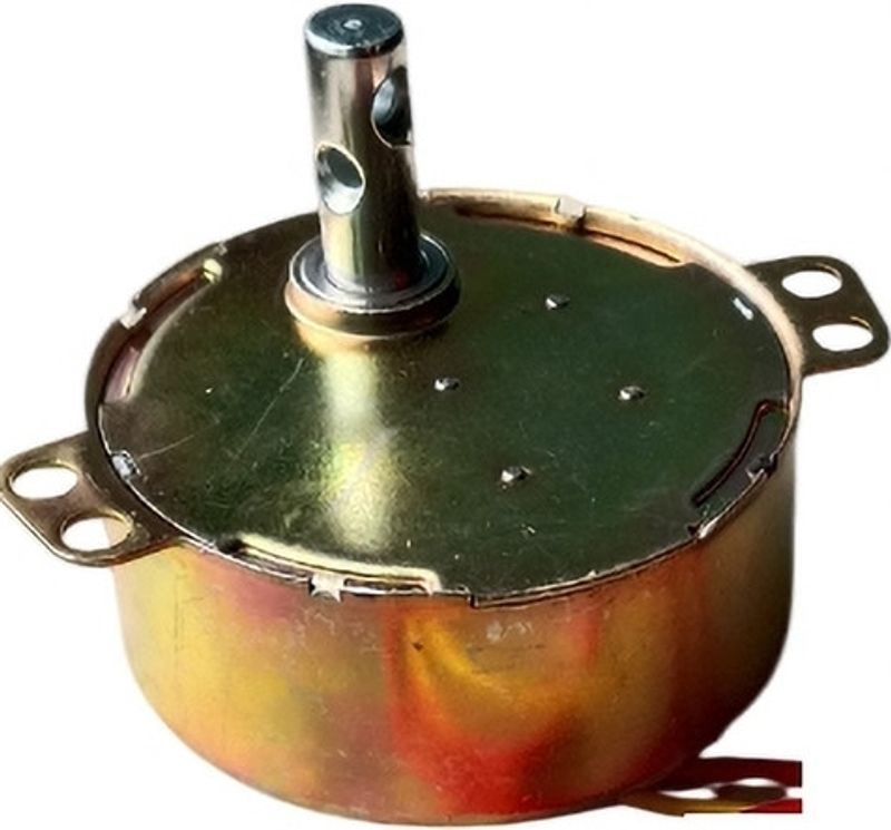 ESP Auto Swing Motor 4W 220V-240V - Image 6