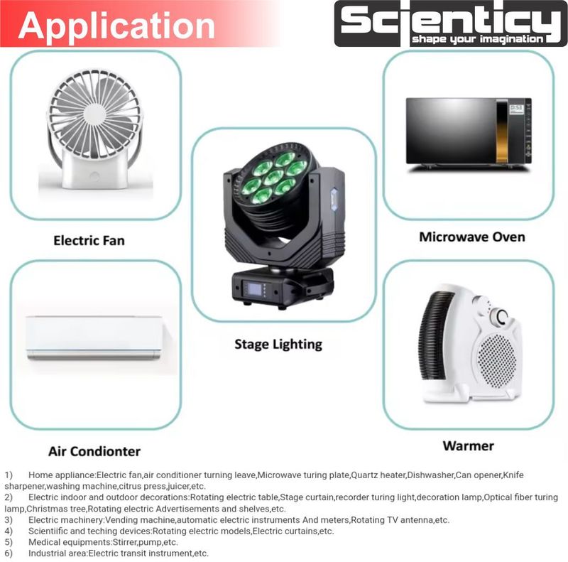 Scienticy Auto Swing AC Synchronous Motor 5/6rpm - Image 6
