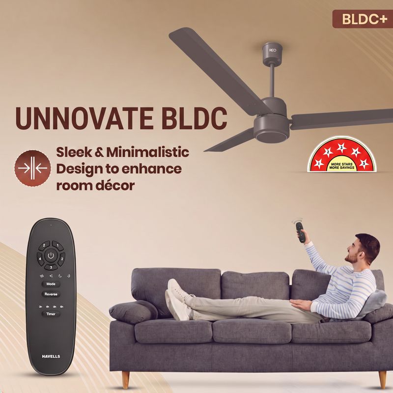 Reo by Havells Unnovate|Remote Controlled|Reverse Rotation Mode| Timer Setting| Low Noise with 2 Year Warranty BLDC Motor 1200 mm Ceiling Fan (5 Star | Stone Grey | Pack of 1) - Image 8