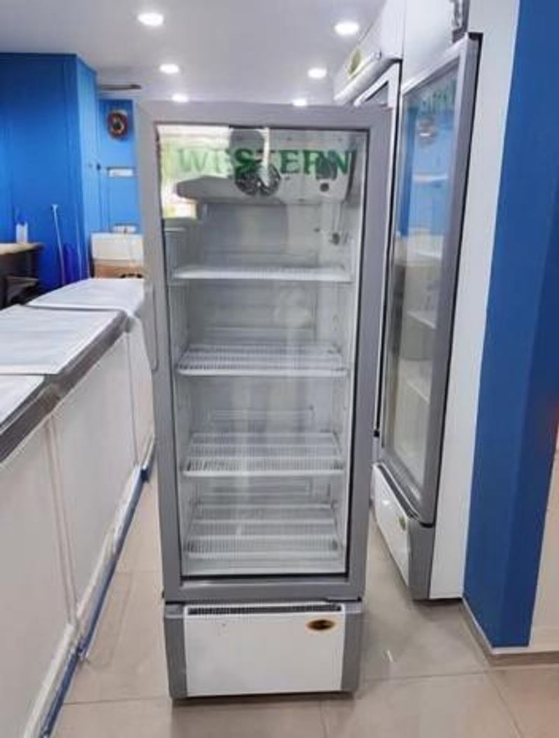 WESTERN 240 L Single Door Upright Freezer (White, 5 Star) - Image 5