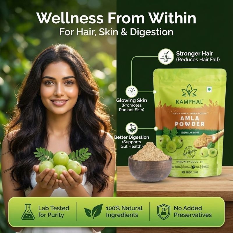 Kamphal Amla Powder for Drink, Hair Care, Eating (250 g) - Image 3