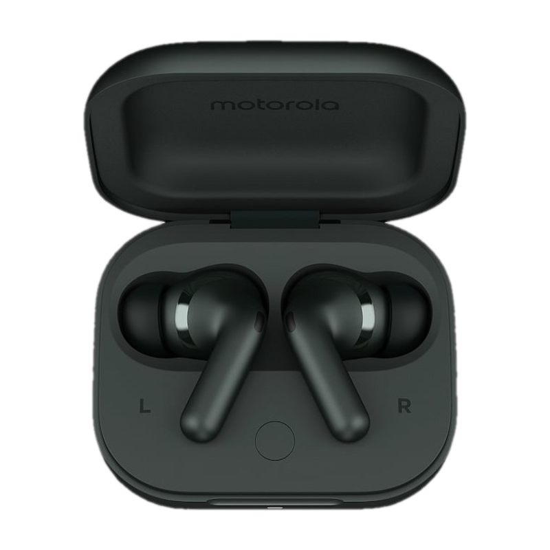 Motorola buds+ True Wireless Earbuds (Forest Gray) - Image 2